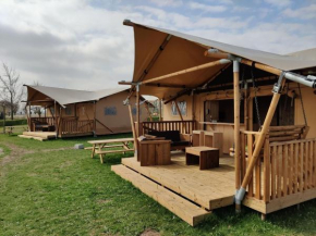 Glamping tent with AC and a view of the Kuinderbos